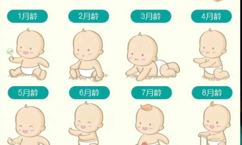 宝宝小鸡小蛋大怎么回事专区_婴儿小鸡蛋蛋里边摸着有硬的圆的专区_婴儿小鸡跟蛋蛋长一块网